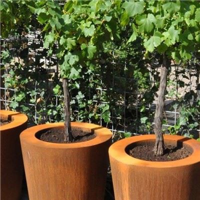 Corten tērauda ziedu kastes