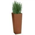 Container Gardening Planters