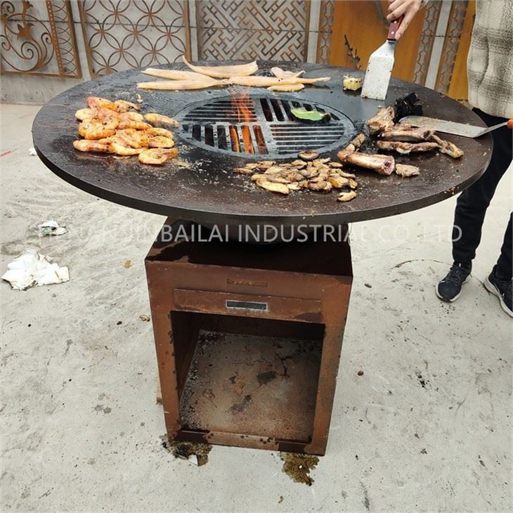 Gas And Charcoal Bbq