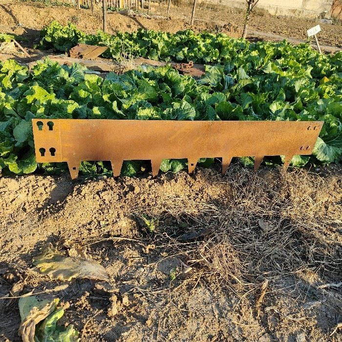 lawn edging (30)