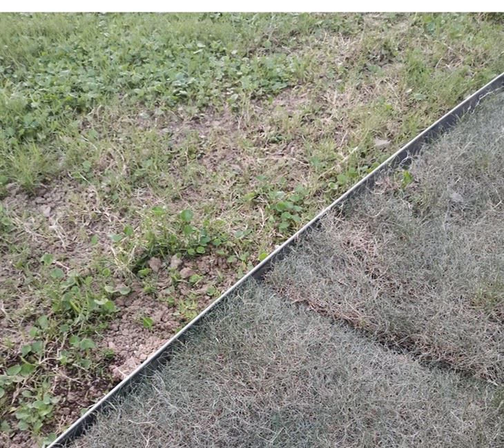 Stainless Steel Lawn Grass Path Edging